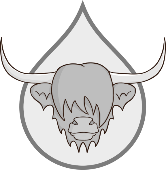 Drupal Scotland Logo